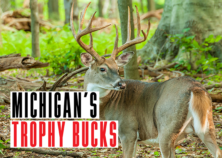 Michigan's Trophy Bucks