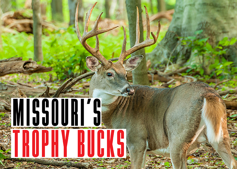 Missouri Trophy Bucks