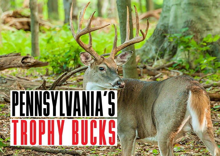 Pennsylvania Trophy Bucks