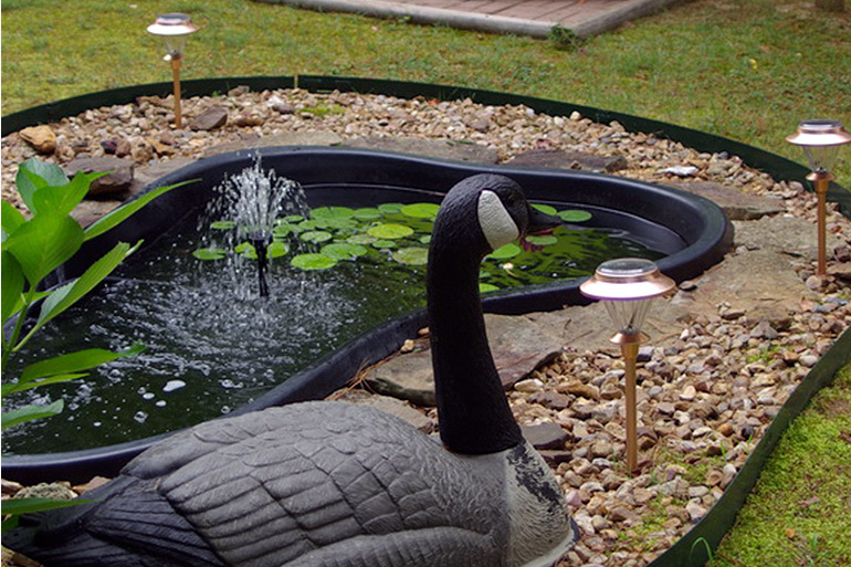 Create Your Own Backyard Fishpond