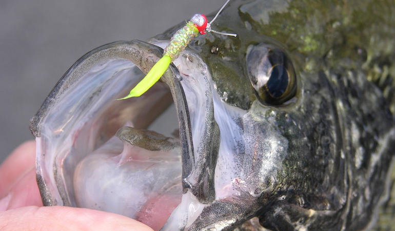 Tinkering With Baits to Catch More Crappie