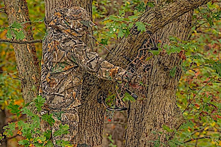 DIY Bowhunting: Manage Time, Expectations to Have Quality Hunt
