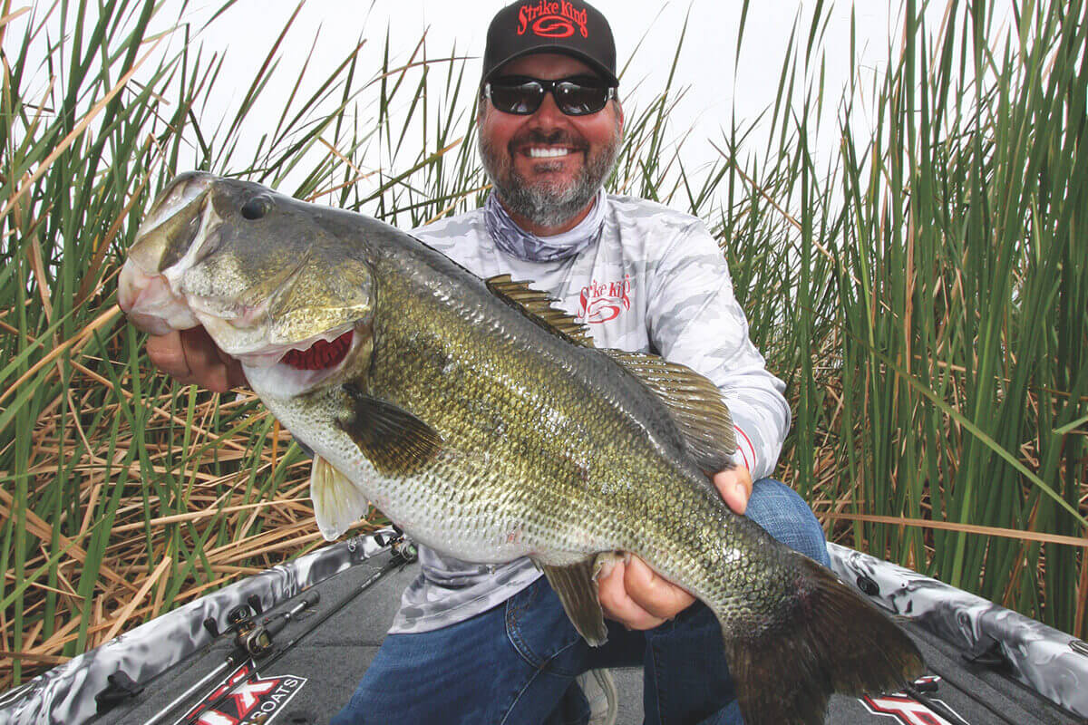 Feeling Punchy? How to Coax Big Bass Out of Thick Cover