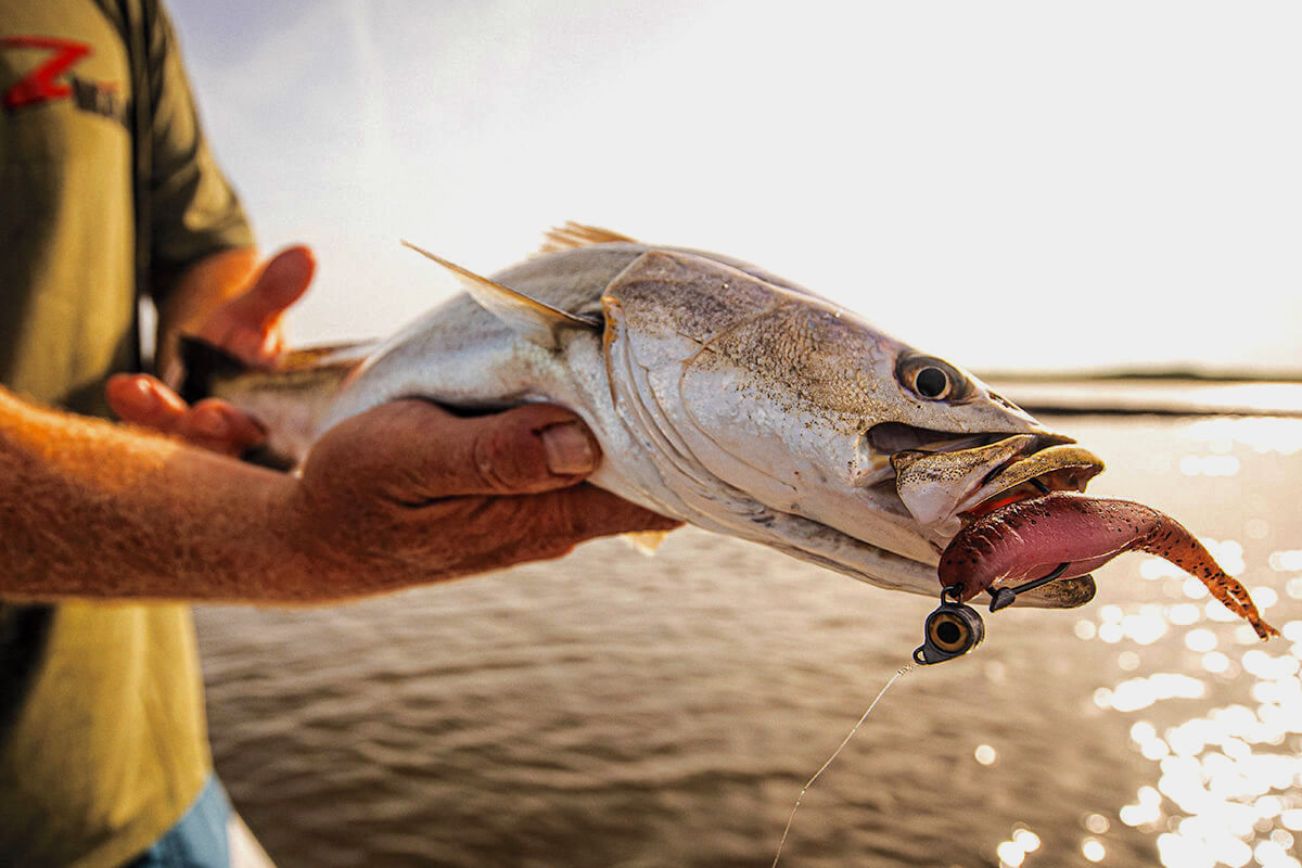 Tactics to Trigger Strikes from Wary Gator Seatrout