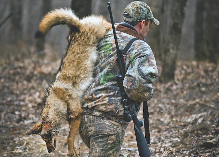5 Tips to Better Coyote Hunting