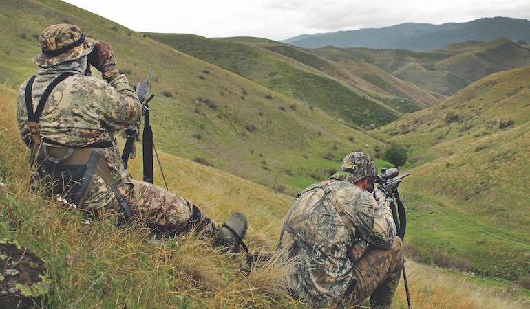 Expert Tactics for Open-Country Coyotes