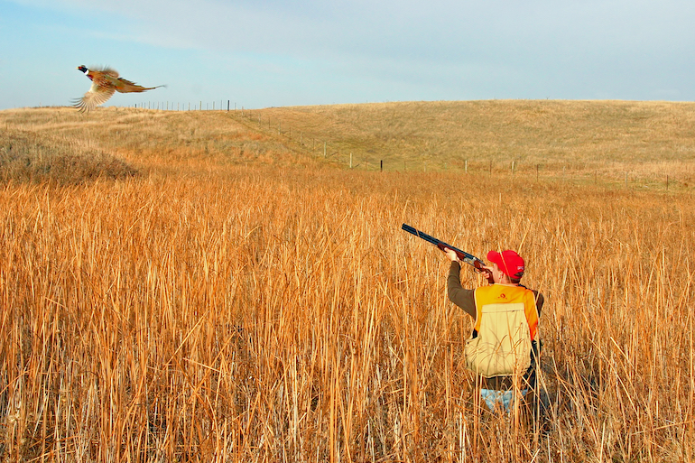 South Dakota Pheasant Hunters See Increased Opportunities