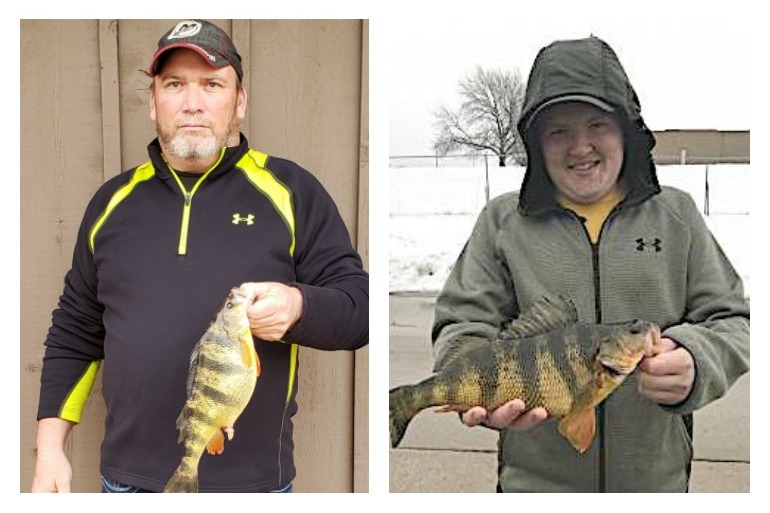 Yellow Perch Record Broken for Second Time in 2020