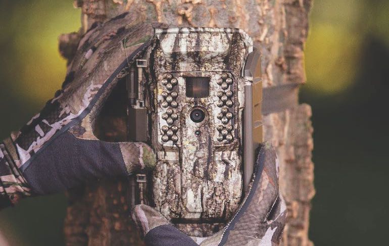 Field Test: Moultrie Cellular Trail Cameras
