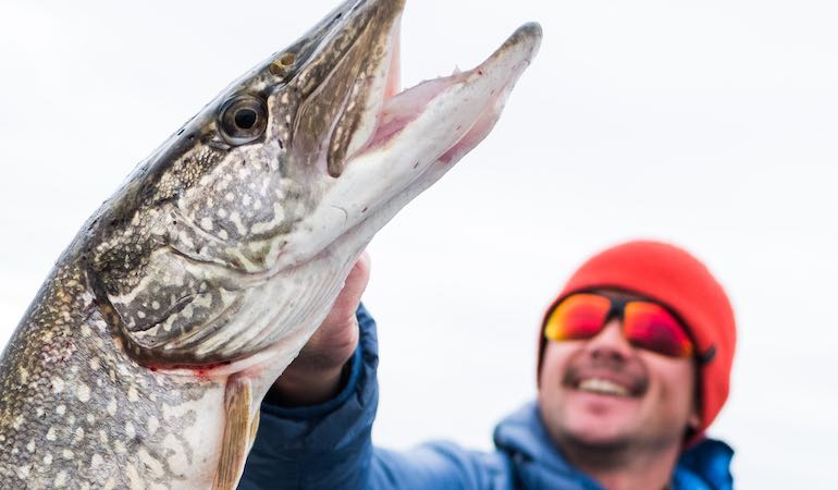 Killer Tips for Catching Pike with Dead Baits