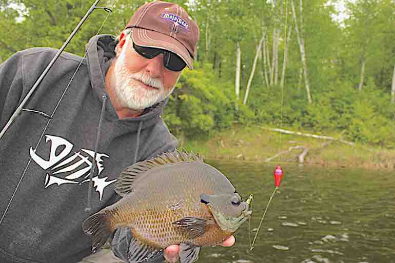 Gauge Temperature Changes for Spring Panfish
