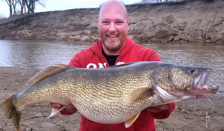 Record-Sized Walleye Was Foul-Hooked, Agency Says
