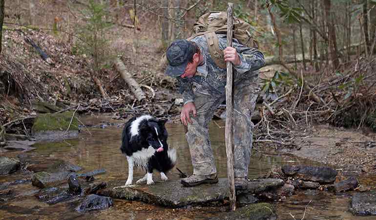 Turkey Scouting with a Man and His Dog