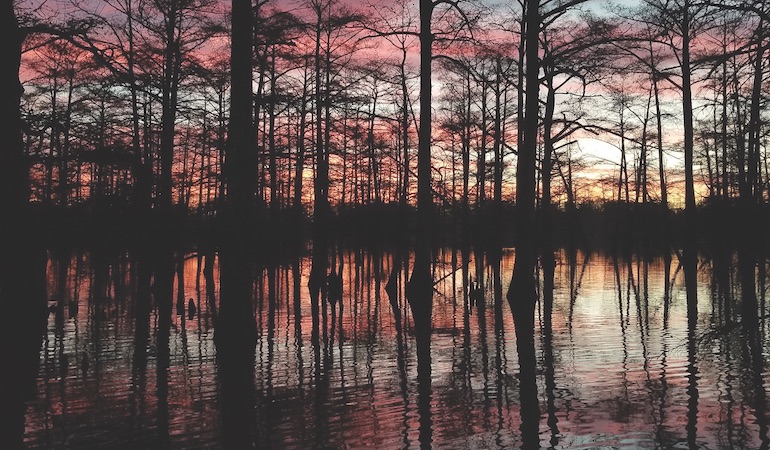 Southern Spots for the Duck Hunt of a Lifetime
