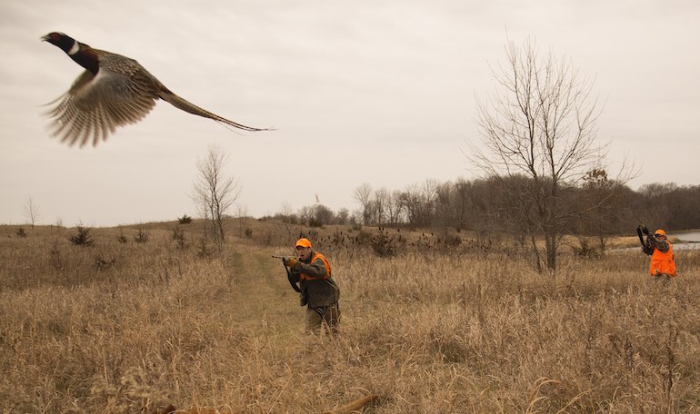 Upland-Specific Gear for 2019 Bird Hunting