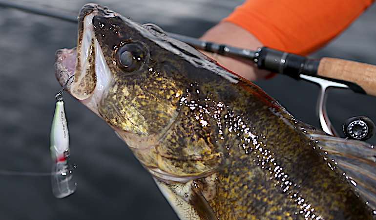 3 Tactics for Walleyes in Adverse Conditions