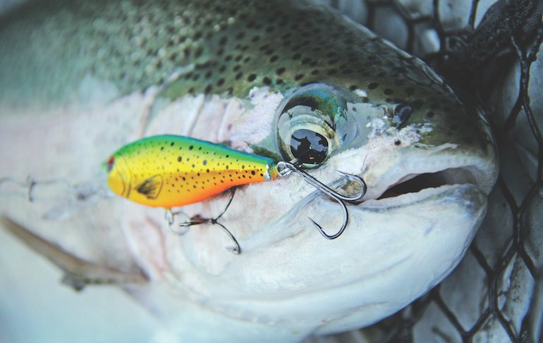 Western Trout: Make the River Deliver