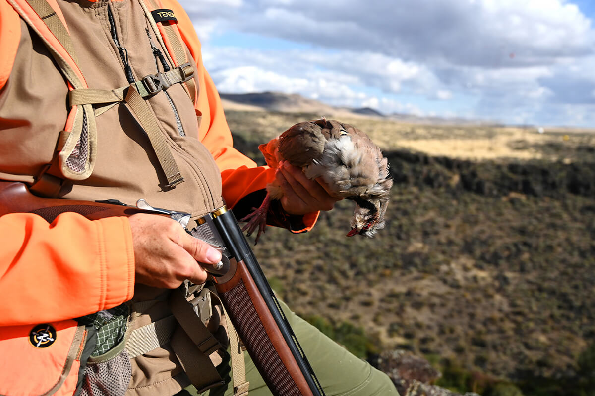 2022-2023 Chukar Hunting Season Forecast