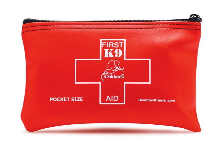 Pocket-Sized-First-Aid-Kit.png