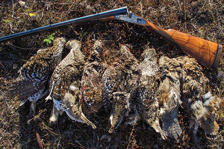 Hunting Sharp-Tailed Grouse in Alaska 