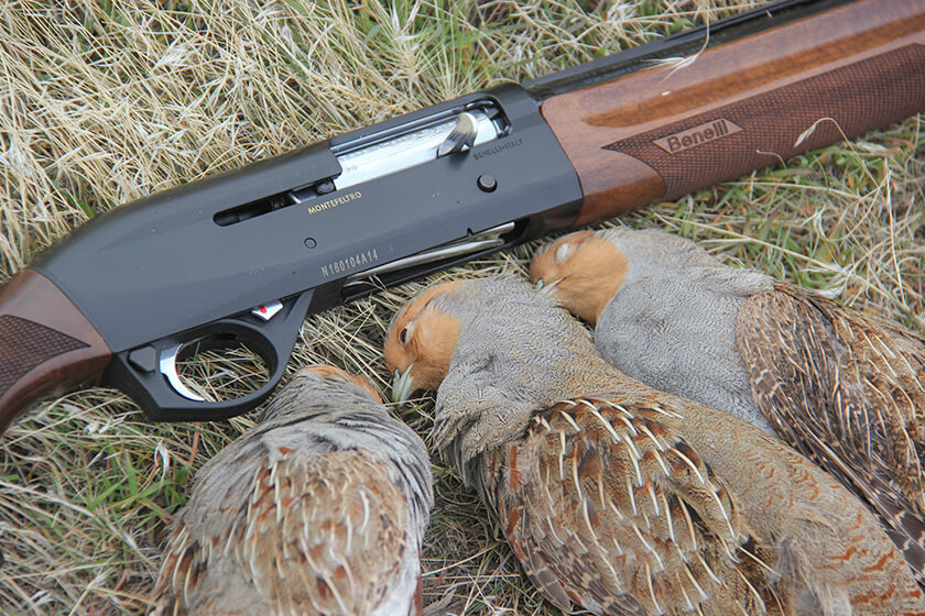 Shotgun with Hungarian partridge