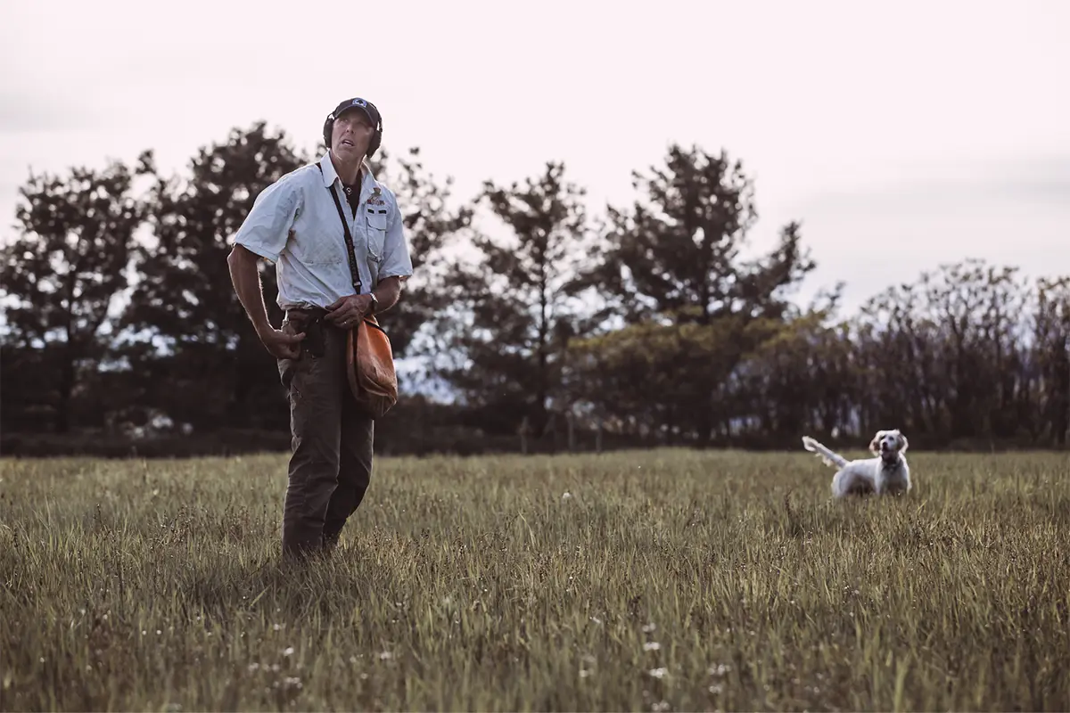 Should You Train & Hunt Pointing Dogs, Flushing Dogs, and Retrievers Differently?