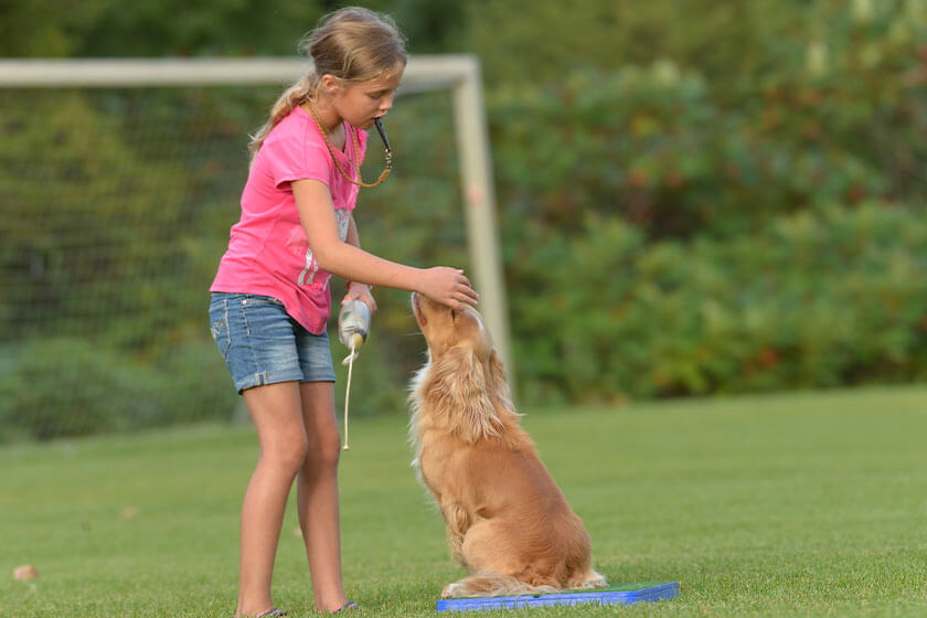 young girl with English cocker spaniel