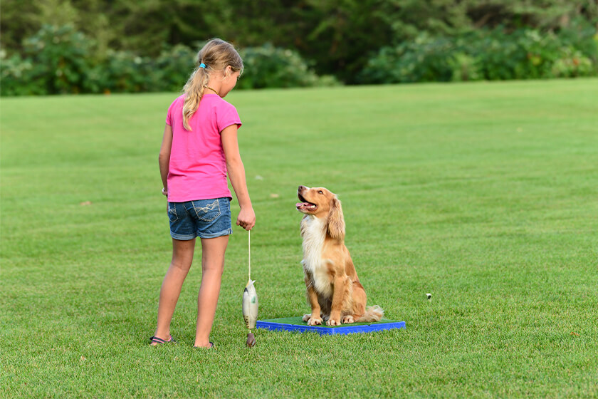 Family Training: How to Get Everyone on the Same Dog Training Page