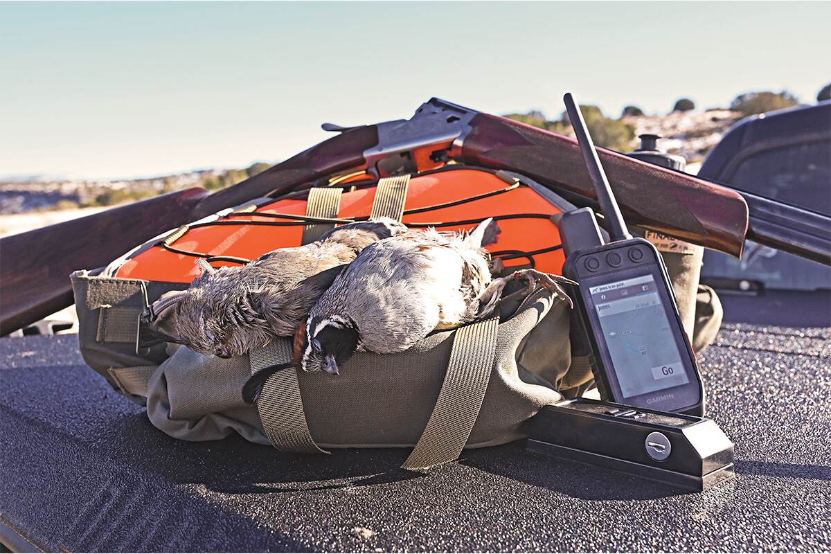 Garmin Alpha 200i Dog Tracking & Training E-Collar: New Gear Review