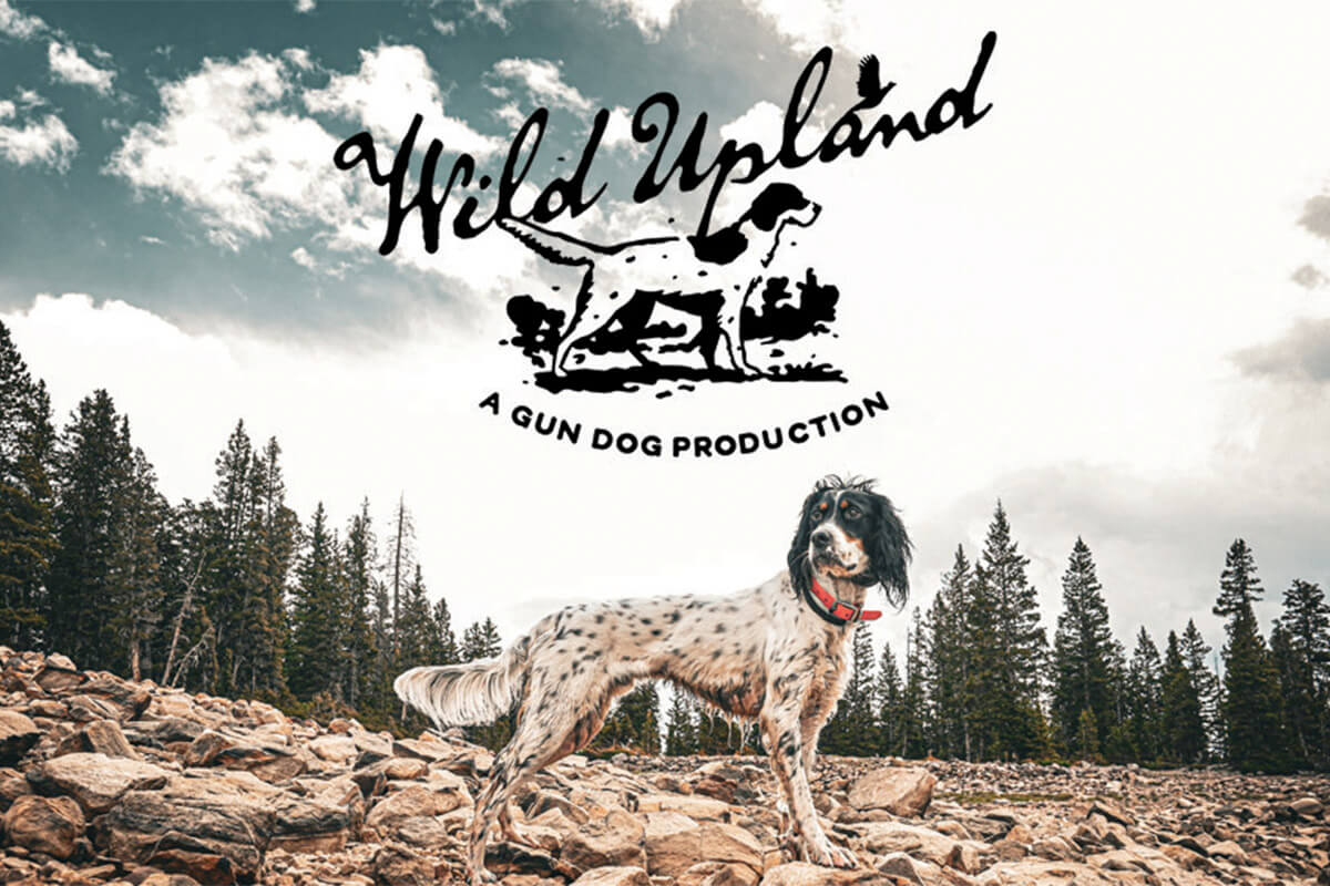 Introducing “Wild Upland,” A GUN DOG Production
