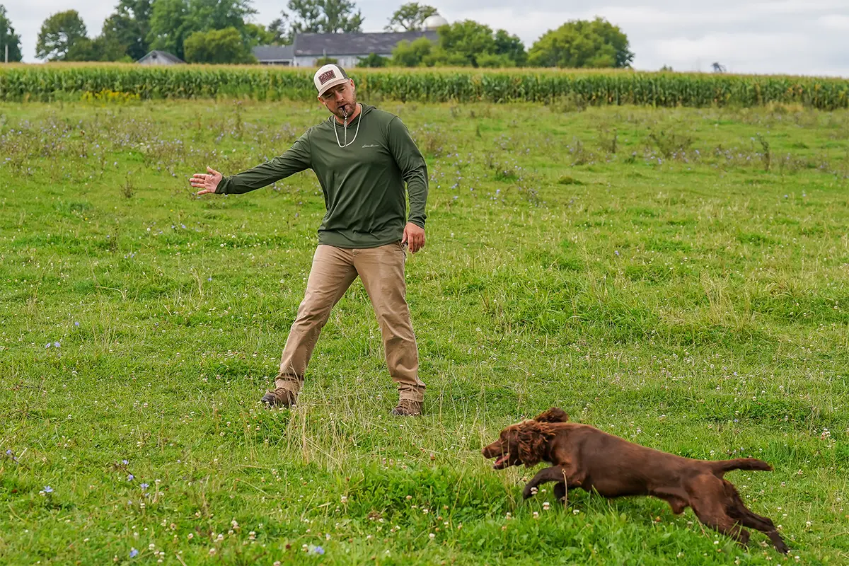 Using Hand Signals with Gun Dogs