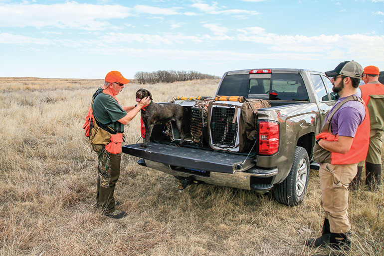 The Post-Hunt Tailgate Checkup for Gun Dogs 