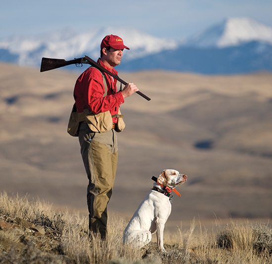 hunter in field next to sitting English pointer