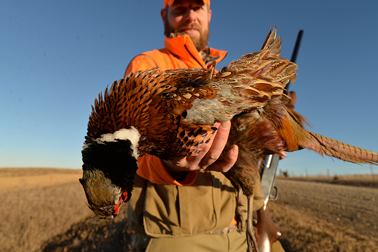 hunter with public land rooster