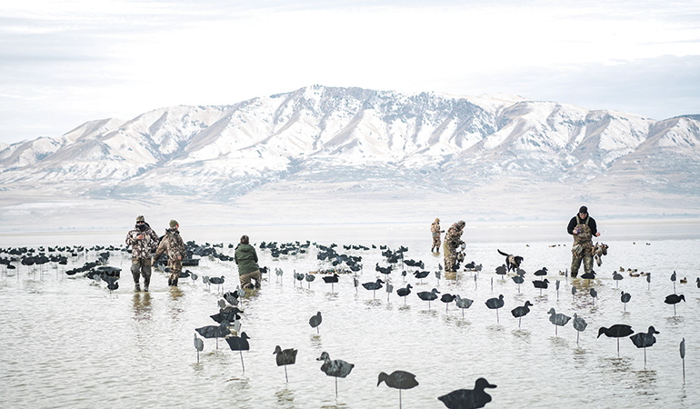 Hunting Green-Winged Teal on the Great Salt Lake 