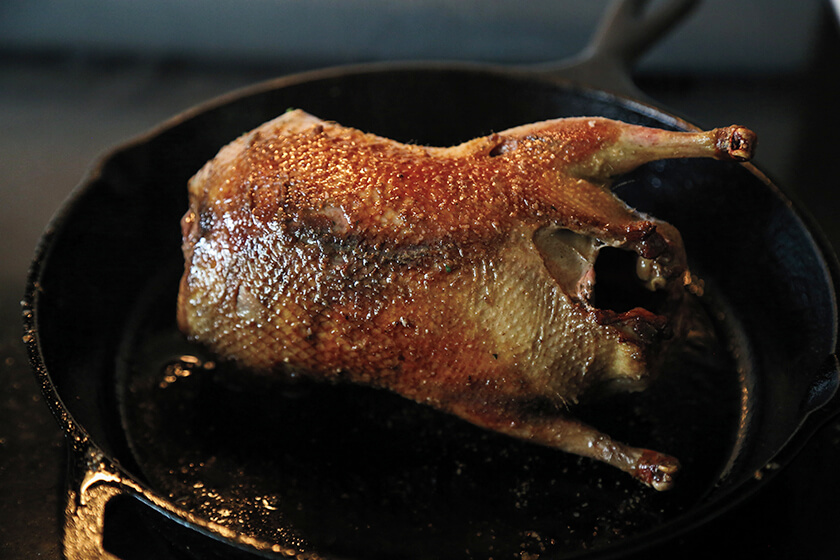 Roast duck with apple stuffing and cider gravy recipe