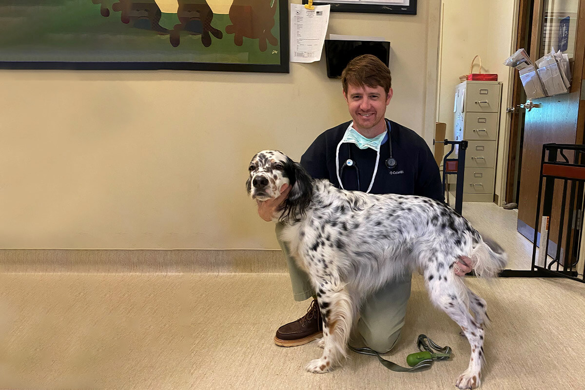 The Best Way to Select a Veterinarian for Your Sporting Dog