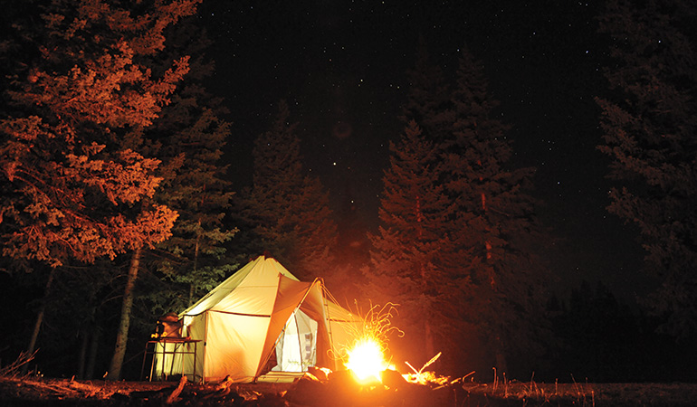 upland basecamp in the woods at night with fire