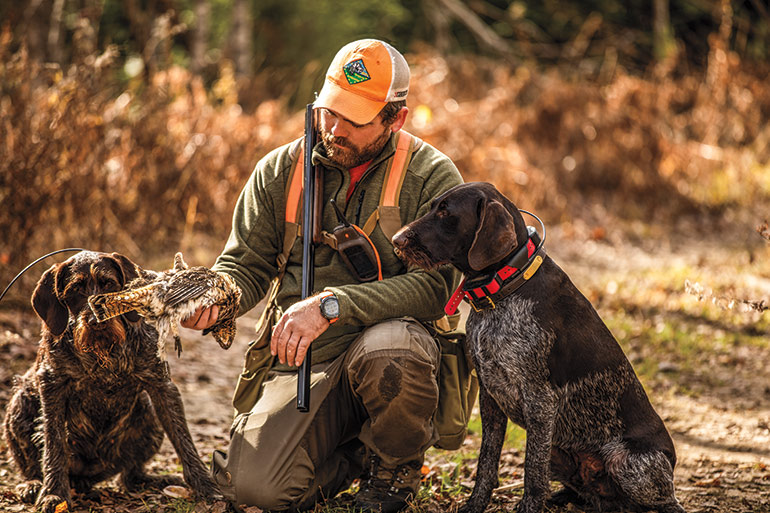 upland hunter with 2 gun dogs