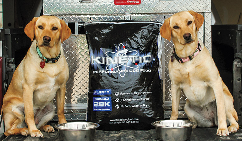 Kinetic: A New Super Food for Gun Dogs