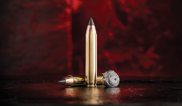 New Ammo Offerings for 2019 