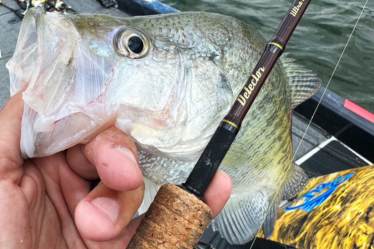Lester's Early Winter Crappie Learnings