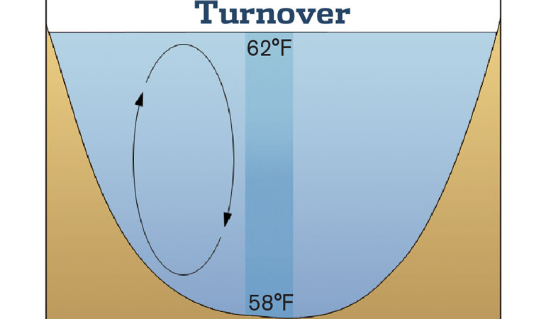 Understanding the Fall Turnover Period