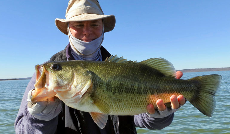 //content.osgnetworks.tv/infisherman/content/photos/Midwest-Finesse-December-2019-5.jpg