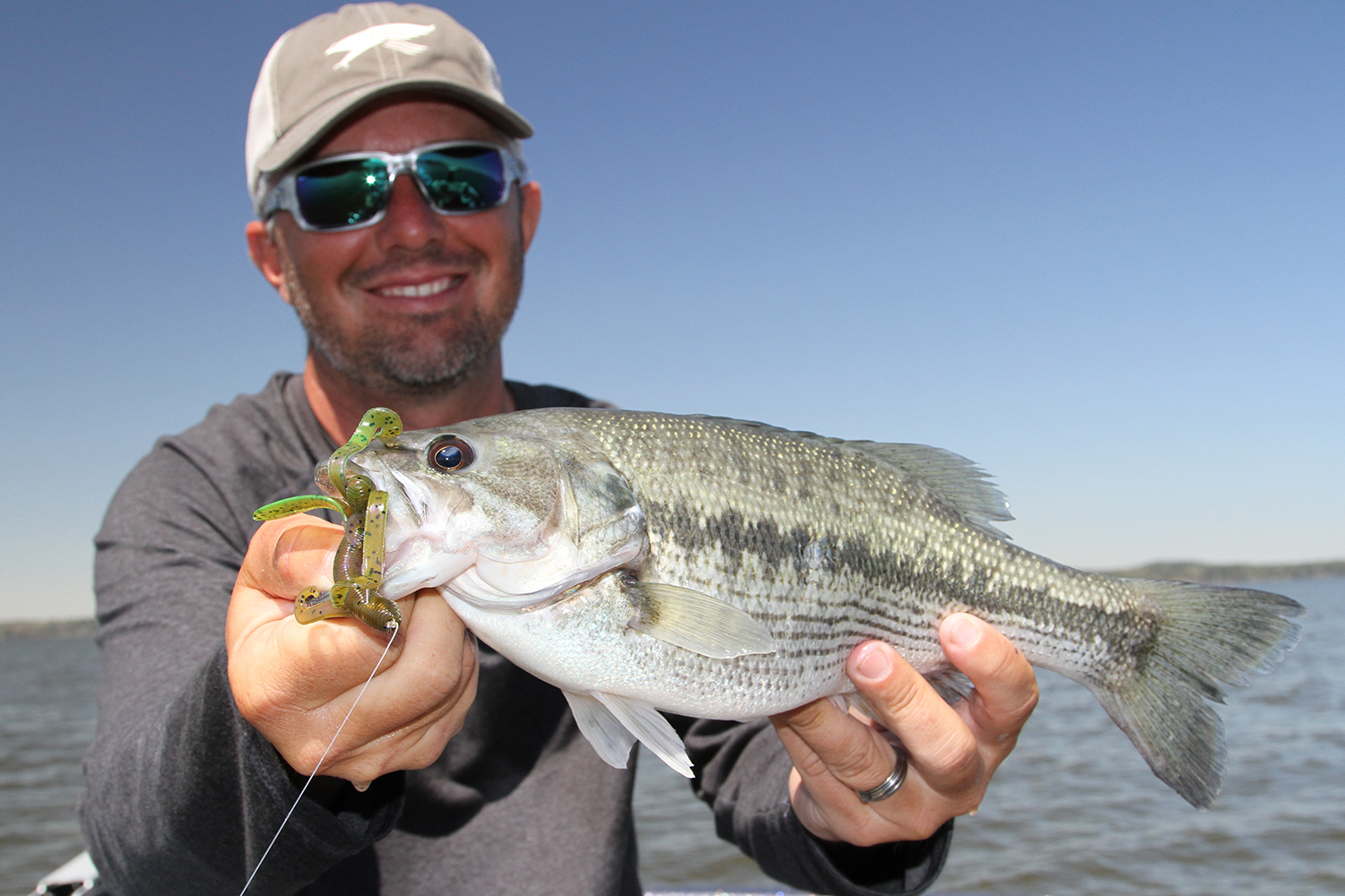 Why Southern Spotted Bass Are So Special