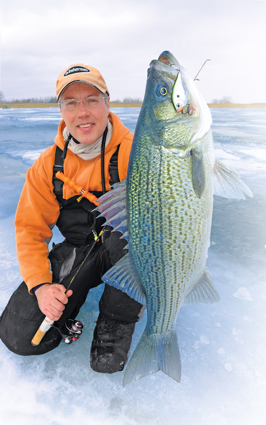 //content.osgnetworks.tv/infisherman/content/photos/Top-Ice-Predators-Striped-Bass.jpg