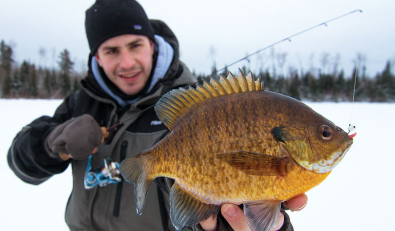 //content.osgnetworks.tv/infisherman/content/photos/Tungsten-and-Lead-Jigs-for-Panfish.jpg