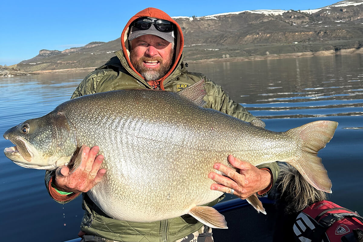 Full Scale: Potential World Record Lake Trout Caught in Colorado