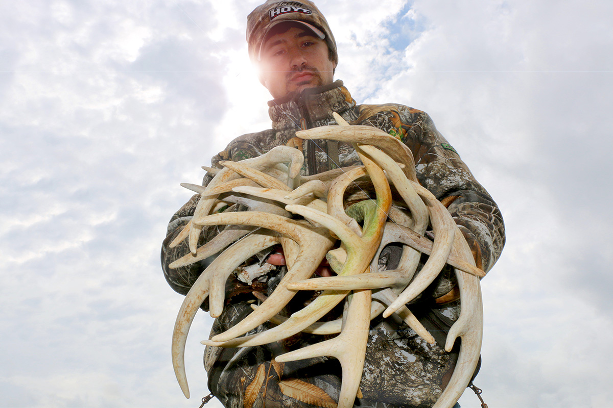 The Best Shed Hunting Tips For Finding Better Success