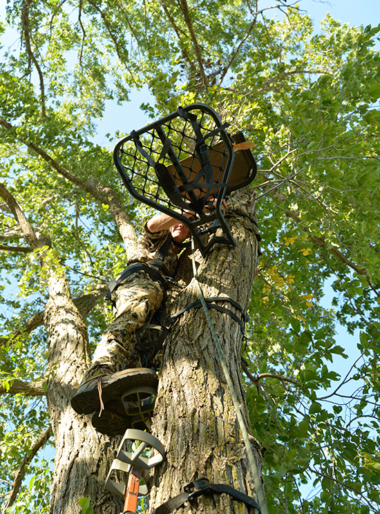 bowhunter hanging treestand